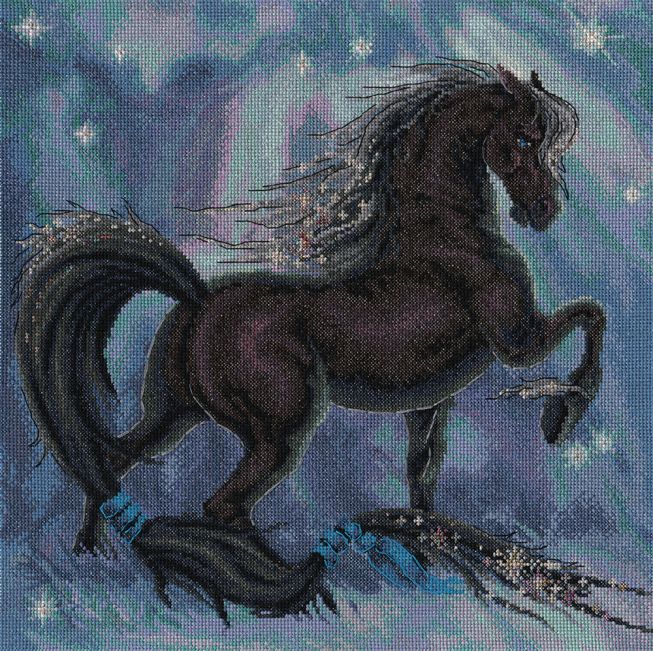 Embroidery kit - black beauty